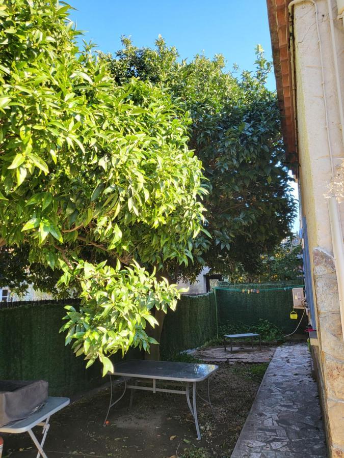 Ferienwohnung Clementine Collioure Exterior foto